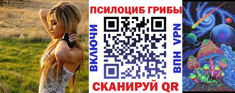 Псилоцибиновые грибы ЛСД  Купить закладки  Весьегонск 