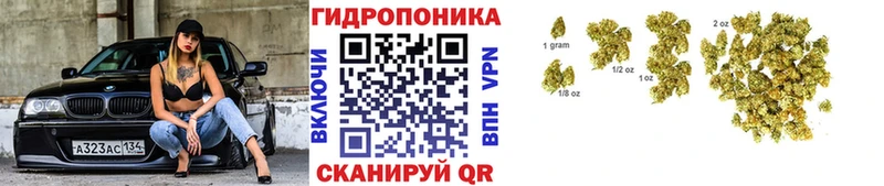 МАРИХУАНА ГИДРОПОН  Купить где  Весьегонск 